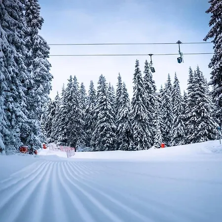 студио ая- смолянски езера