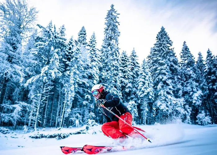 студио ая- смолянски езера *