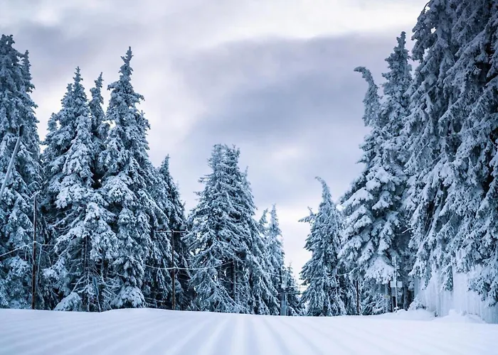 Appartement студио ая- смолянски езера Smolyan