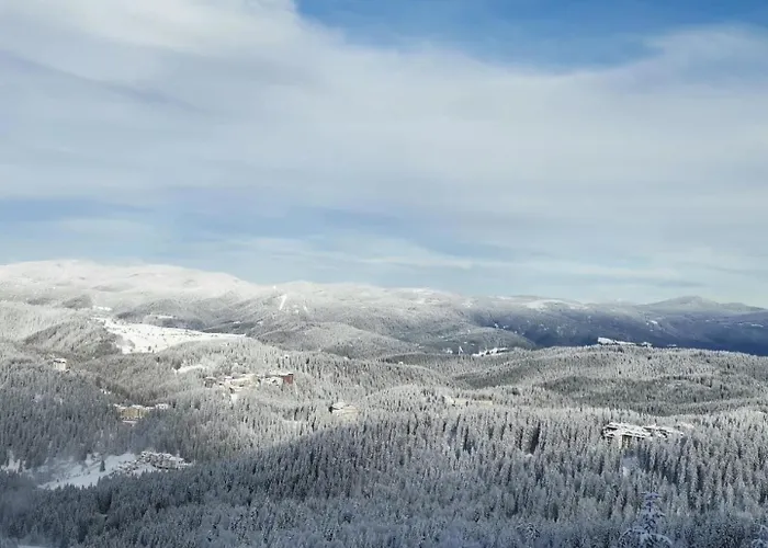 студио ая- смолянски езера